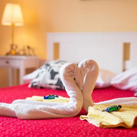 Apartmani Sabina *
