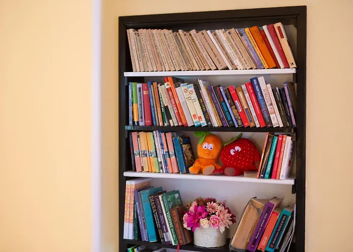 公寓 Sabina 弗济内