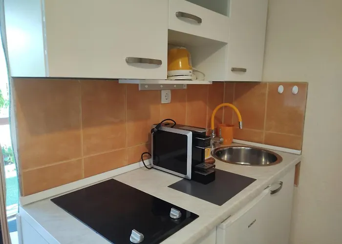 Apartment Apartmani Sabina *